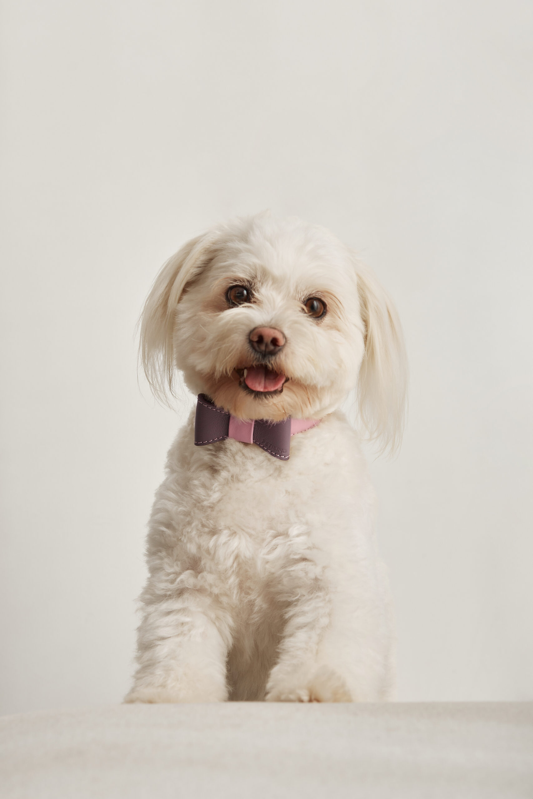 Collar Luxe | Cameo Lavanda Gold - Imagen 3