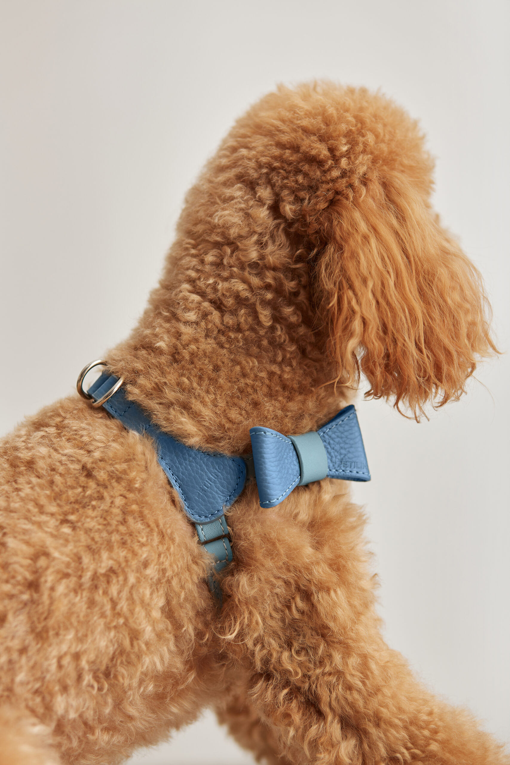 Bow Tie | Nikel Bluefairy Fly - Imagen 4