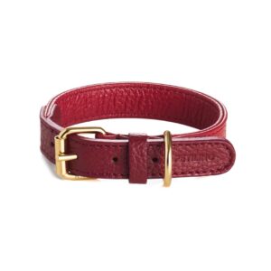 Collar Luxe | Amaranto Cranberry Gold
