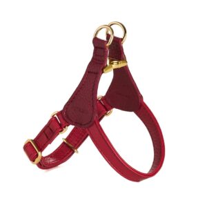 Arnés Luxe | Amaranto Cranberry Gold