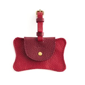 Minibolsa Cleancarry | Amaranto Cranberry Gold