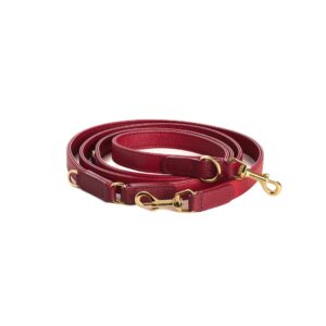 Correa Training LuxeLeash Large | Amaranto Cranberry Gold